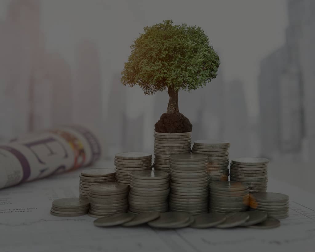 investment